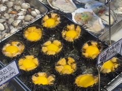 -日月昇渔家菜·海肠捞饭·大连海鲜(星海公园店)