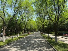 -城市运动公园(未央区)