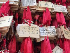 -峨眉山报国寺