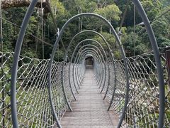 -海南热带雨林国家公园吊罗山景区