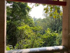 -火炉山森林公园