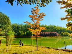 -仁和公园(顺义区)