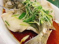 清蒸鲈鱼-松北囍宴(松北店)