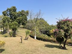 -广州莲花山旅游区