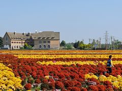 -中国天府农业博览园