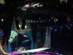 -俄罗斯国家大马戏团