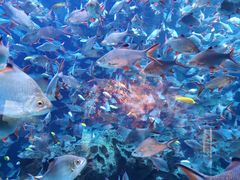 -成都浩海立方海洋公园