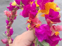 -朝伟清真铜瓢牛肉馆(三十年老·店)