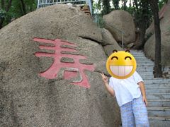 -六里坪国家森林公园