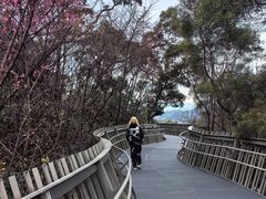 -福道
