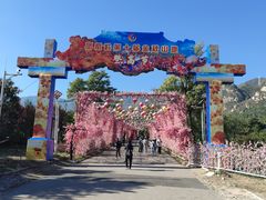-北京凤凰岭