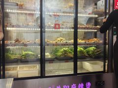 -张十三·益阳麻辣烫(深圳景田店)