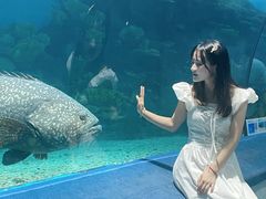 -福州罗源湾海洋世界旅游区