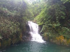 -羚羊峡古栈道森林公园