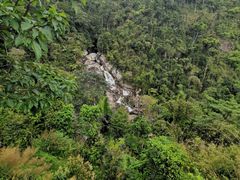 -海南热带雨林国家公园吊罗山景区