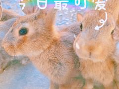 -京津新城温德姆至尊酒店(珠江大道店)