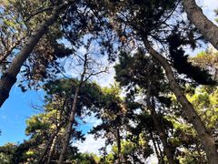 -长春市南湖公园