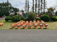 -上海长兴岛郊野公园