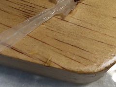 -干老四雅鱼饭店(滨江西路店)