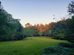 景点-柳浪闻莺公园