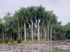 -中国科学院西双版纳热带植物园