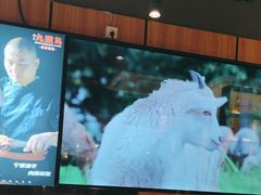 -唐力九头鸟烧烤·罗田吊锅(西云楼店)