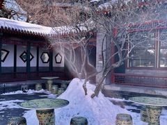 -宫事颐庭·老佛爷贵寿下午茶(颐和园店)