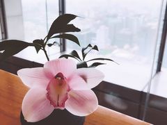 -北京柏悦酒店·锦庭餐厅Dining Room