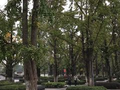 -百林公园-两江幸福广场
