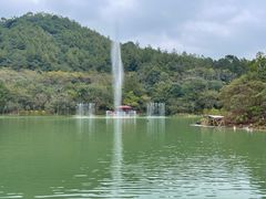 -广州白江湖森林公园