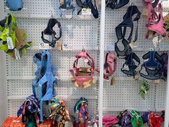 -翊宠yipet猫狗购宠庄园犬舍•猫舍