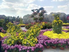 -南通洲际绿博园