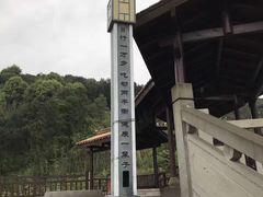 -铁山坪森林公园