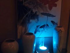 -花湖会所·高端水疗商务泡浴SPA(高新店)