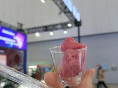 -天津梅江会展中心