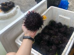 -海胆小馆(东北水饺·春柳店)