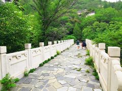 -白水寺森林公园