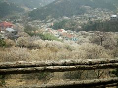 -葛子涧农家宴
