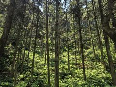 -崀山风景名胜区