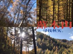 -苏木山森林公园