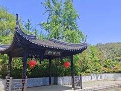 -雨花胜境