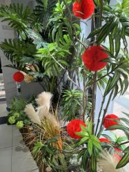 -LEILEI NAIL蕾蕾美甲美睫