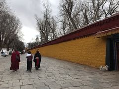 -罗布林卡