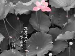 -西南交通大学(九里校区)