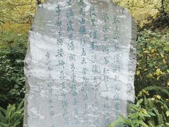 -棠湖公园
