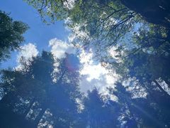 -芦芽山旅游度假区