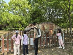 -上海海湾国家森林公园