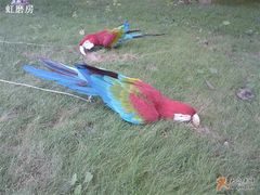 -月亮河温泉度假酒店