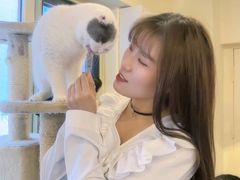 -猫小院猫主题餐厅(南锣旗舰店)