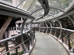 -香港大学
